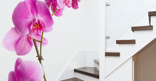 orquideas en tu escalera